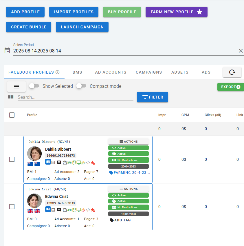 Profile Manager Interface showing global account marketplace